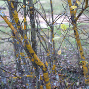DSC7501-result