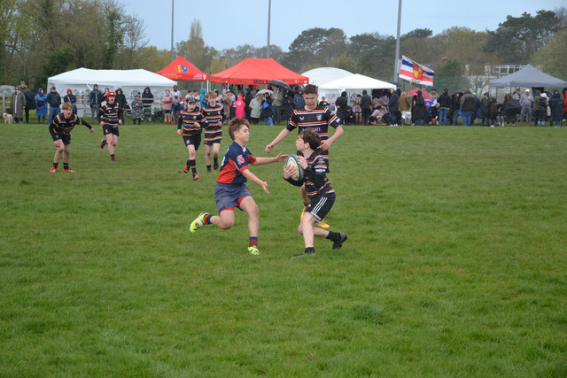 DSC 0585.jpg