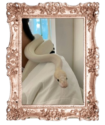 Untitled Project removebg preview.png