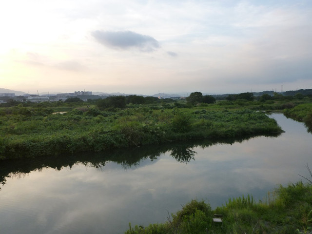 P1350157