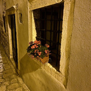 IMG-1537