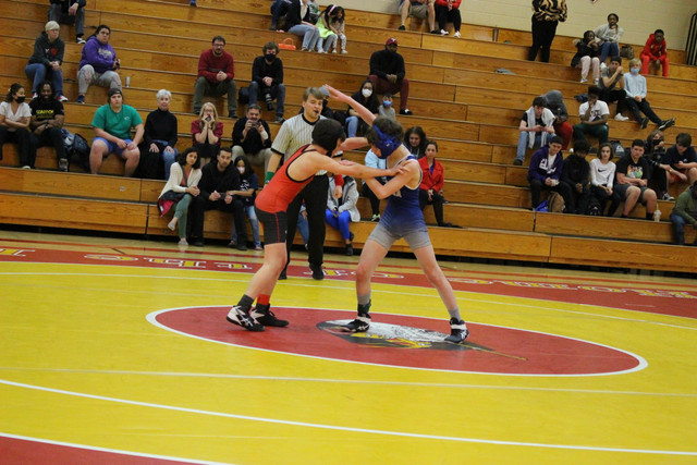 IMG-0319