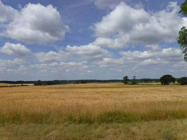 DSCF6171.jpg