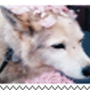 88-by-stu-pixels-dbwcdn7-fullview