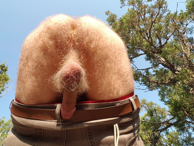 Hairy-blond