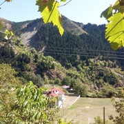 img4c