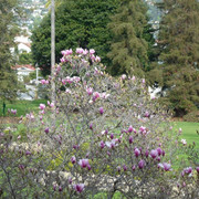 P1090925