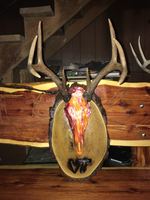 VT deer skull