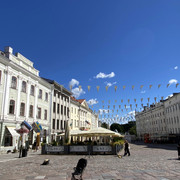 IMG-0893