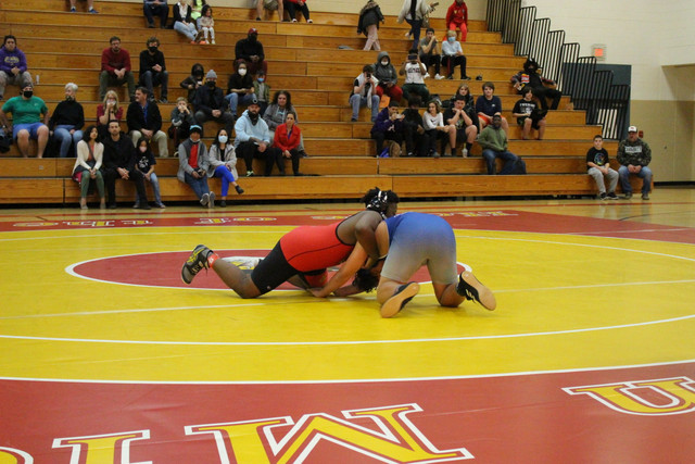 IMG-0020