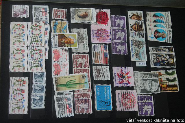 IMG-3084.jpg