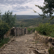 IMG-9501