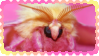 yaaay moth