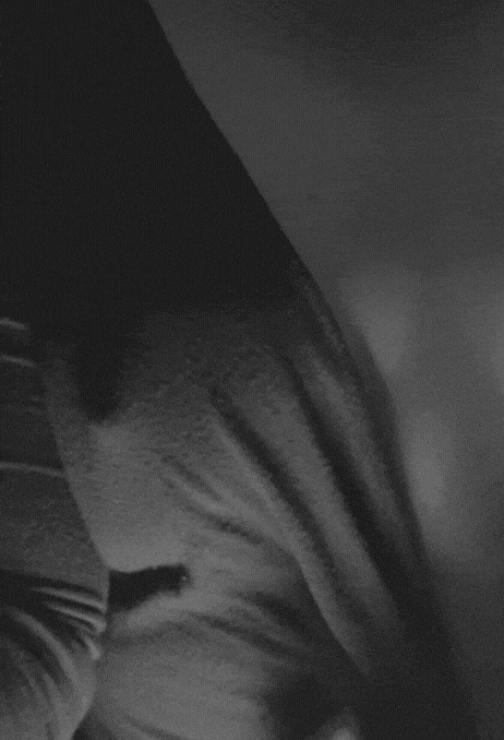 Gray-Tuesday.gif
