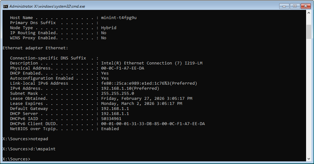 Win10 PE i219