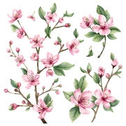 1c4d35bf2fa79d68e8efe3fa50b435a6