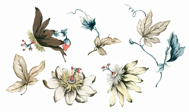 4060fe3debc2ad80fb25033d93a92bc8.png