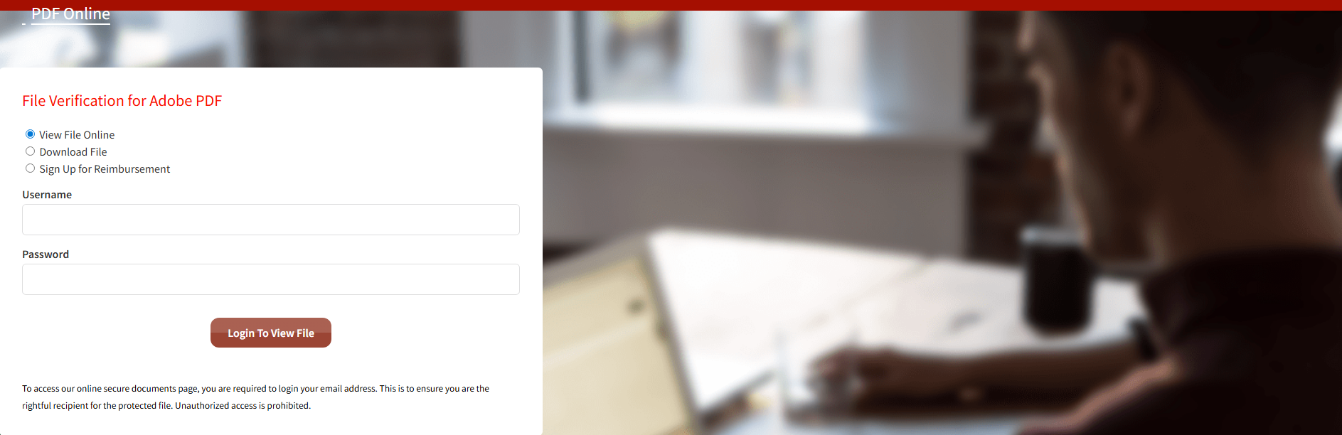 Forensic screenshot of [REDACTED] showing the phishing page layout