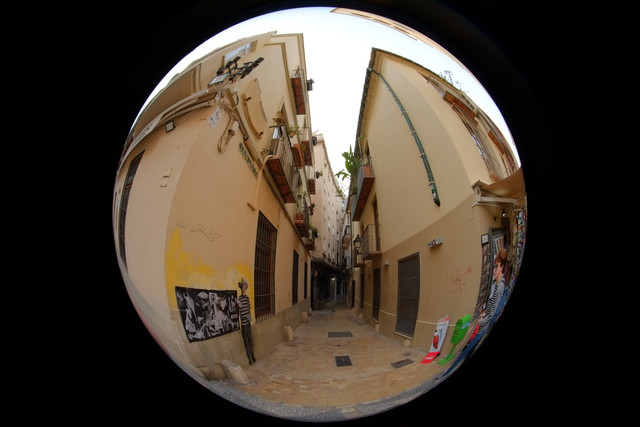 DSCF8958.jpg