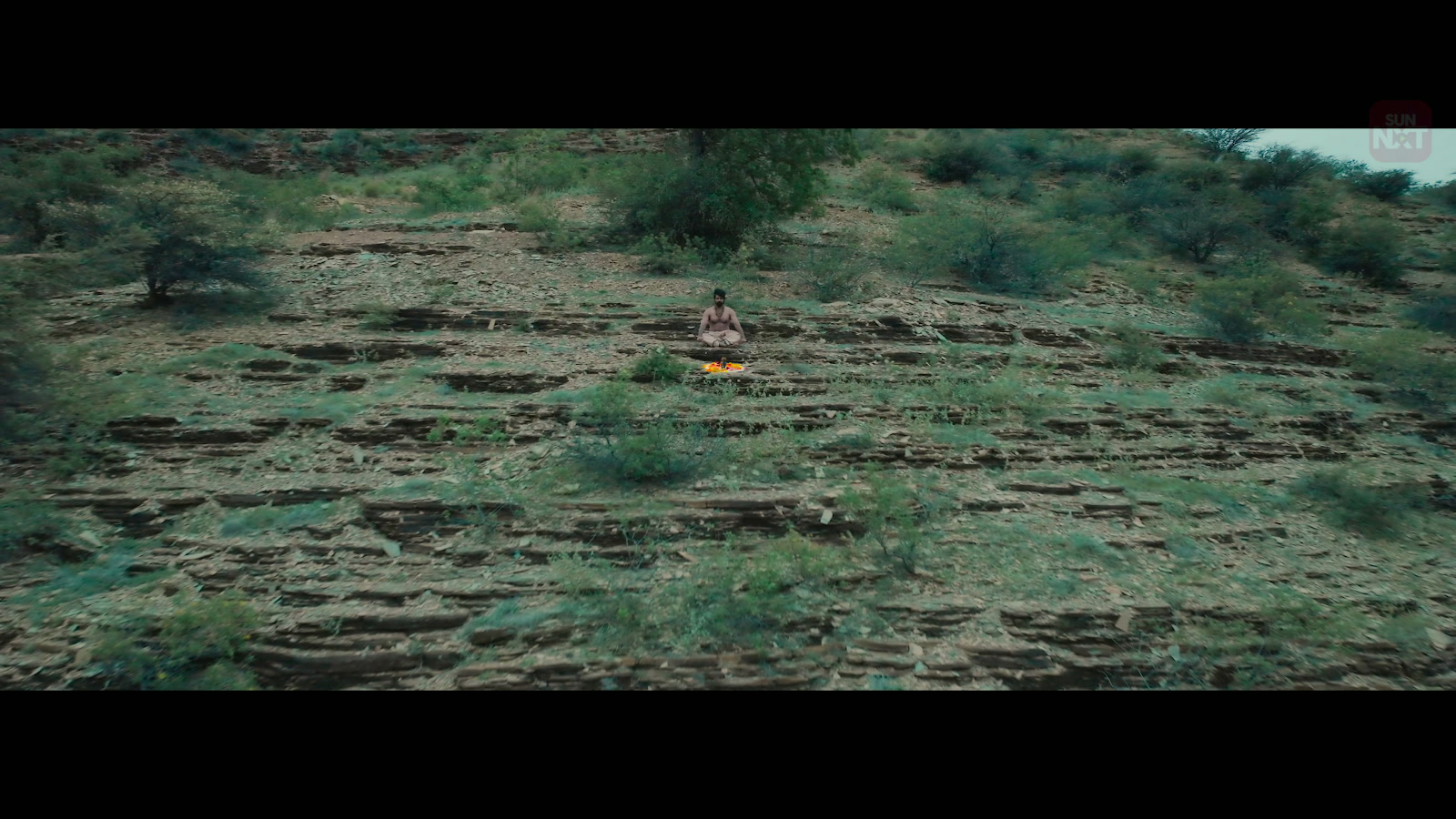 Honey Screenshot