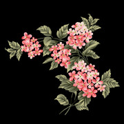 shutterstock 1583034901