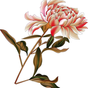 4f0464dfb1e33e9d9d1bf6a955c730bb