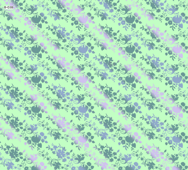 b 03B.jpg