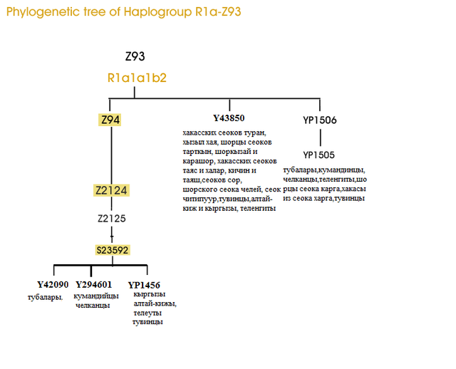 R1a-Z93-tree.png