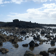 DSCF8671