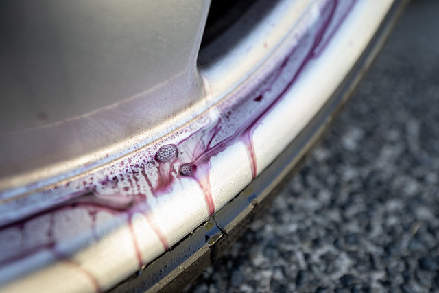Wheel React.jpg
