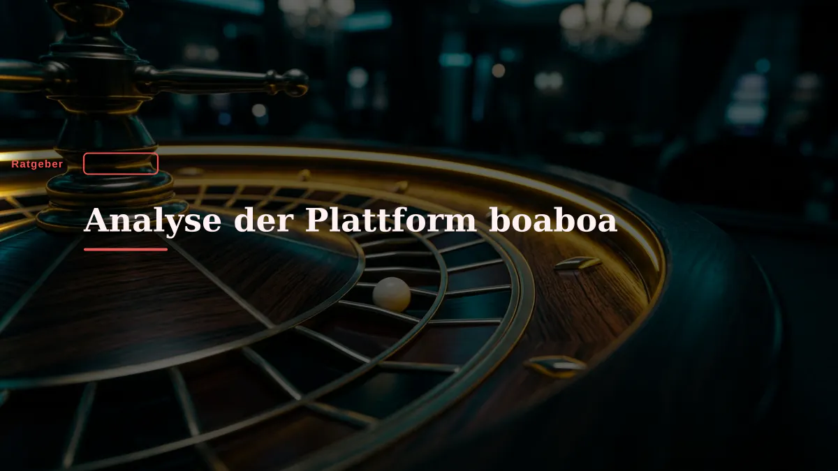 Analyse der Plattform boaboa