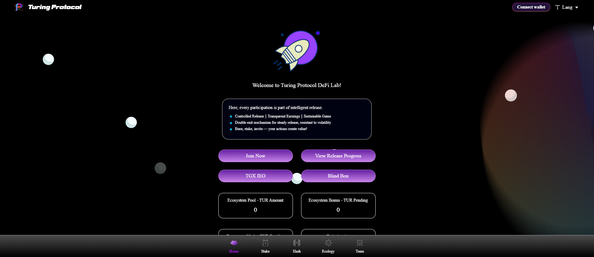 Screenshot of testturing.tur.onl