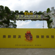 DSC00312