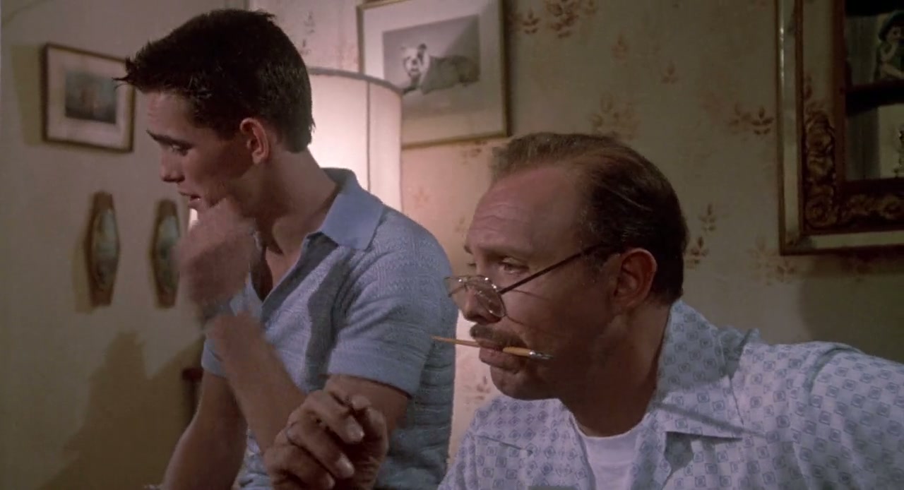 The Flamingo Kid Screenshot