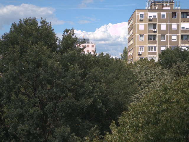 IMG-3189.jpg