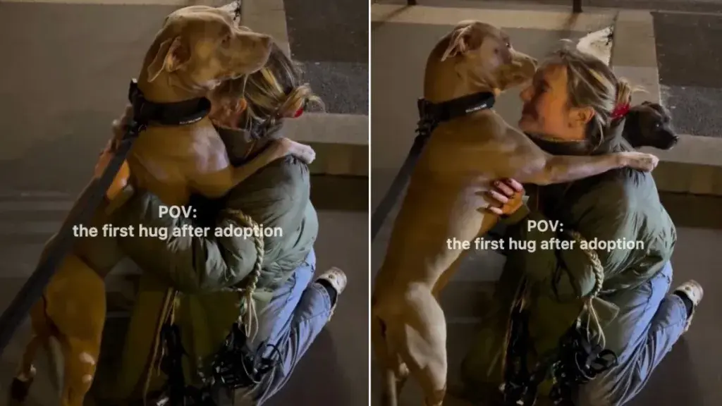 Rescue Dog Clings to Mom in Emotional Adoption Hug