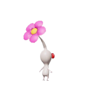 white6 removebg preview