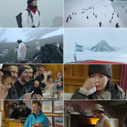 "멀리서 보면 희극, 가까이서 보면 비극"… '남극의 셰프', 펭귄마을의 반전 공개