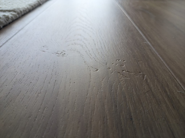 Floors-1.jpg
