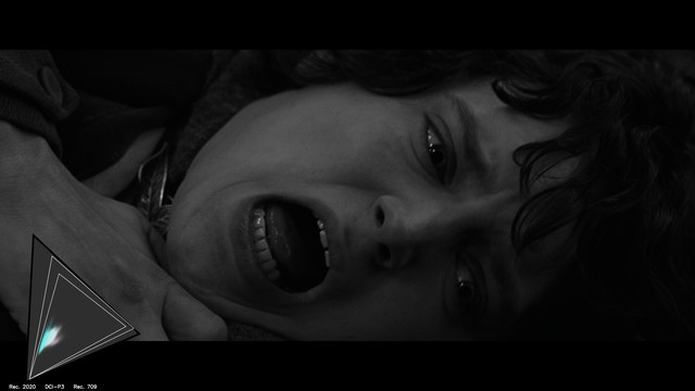 gamut-LOTR20080