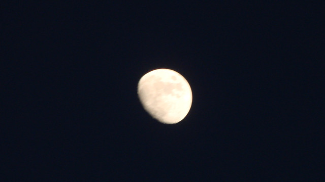 DSC04646.jpg