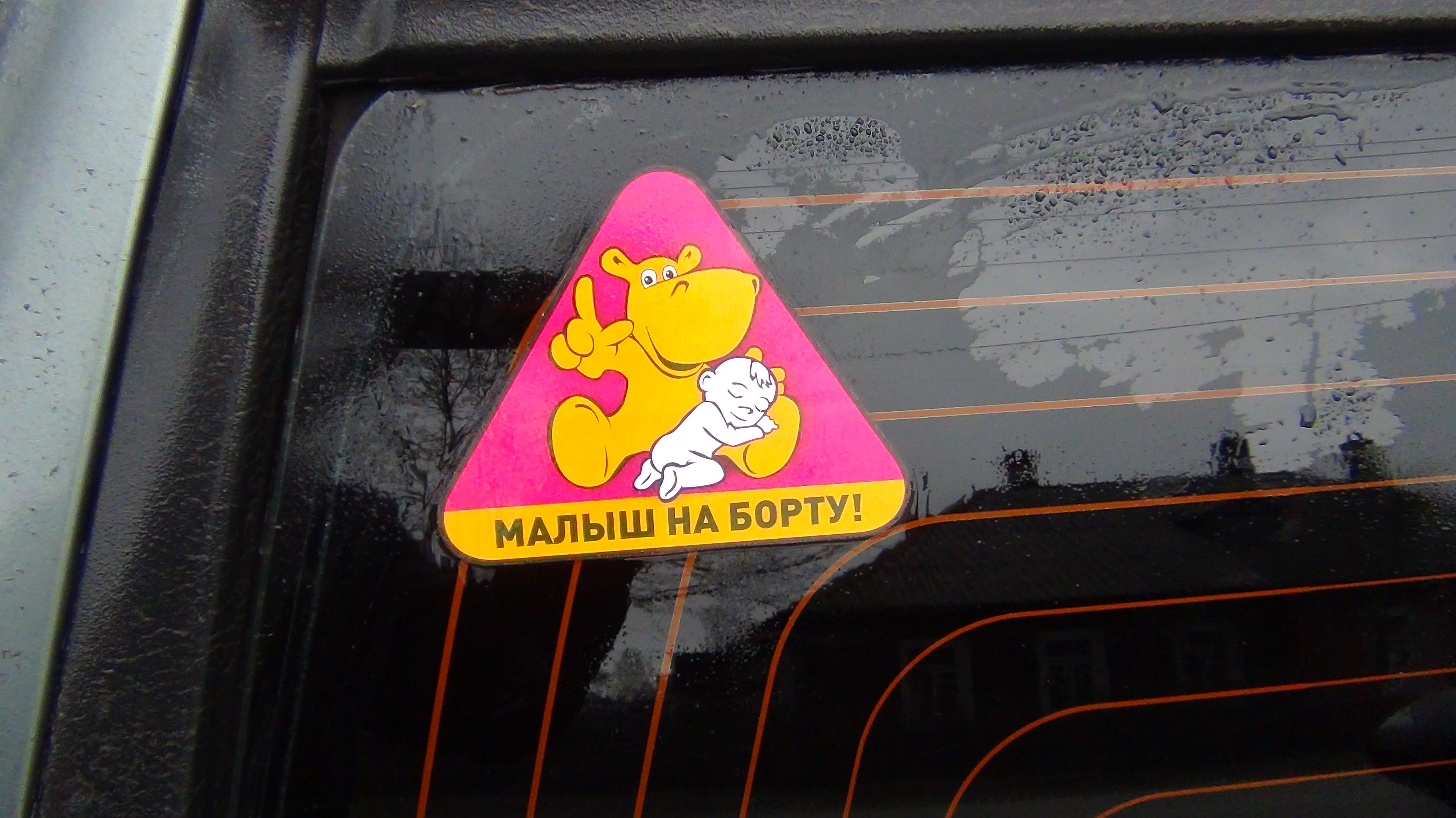 https://i.ibb.co/m5YPPBM1/pu-I9d.jpg