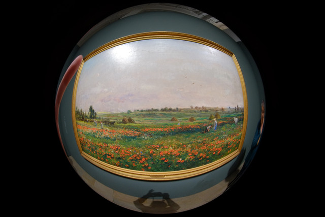 DSCF9272.jpg