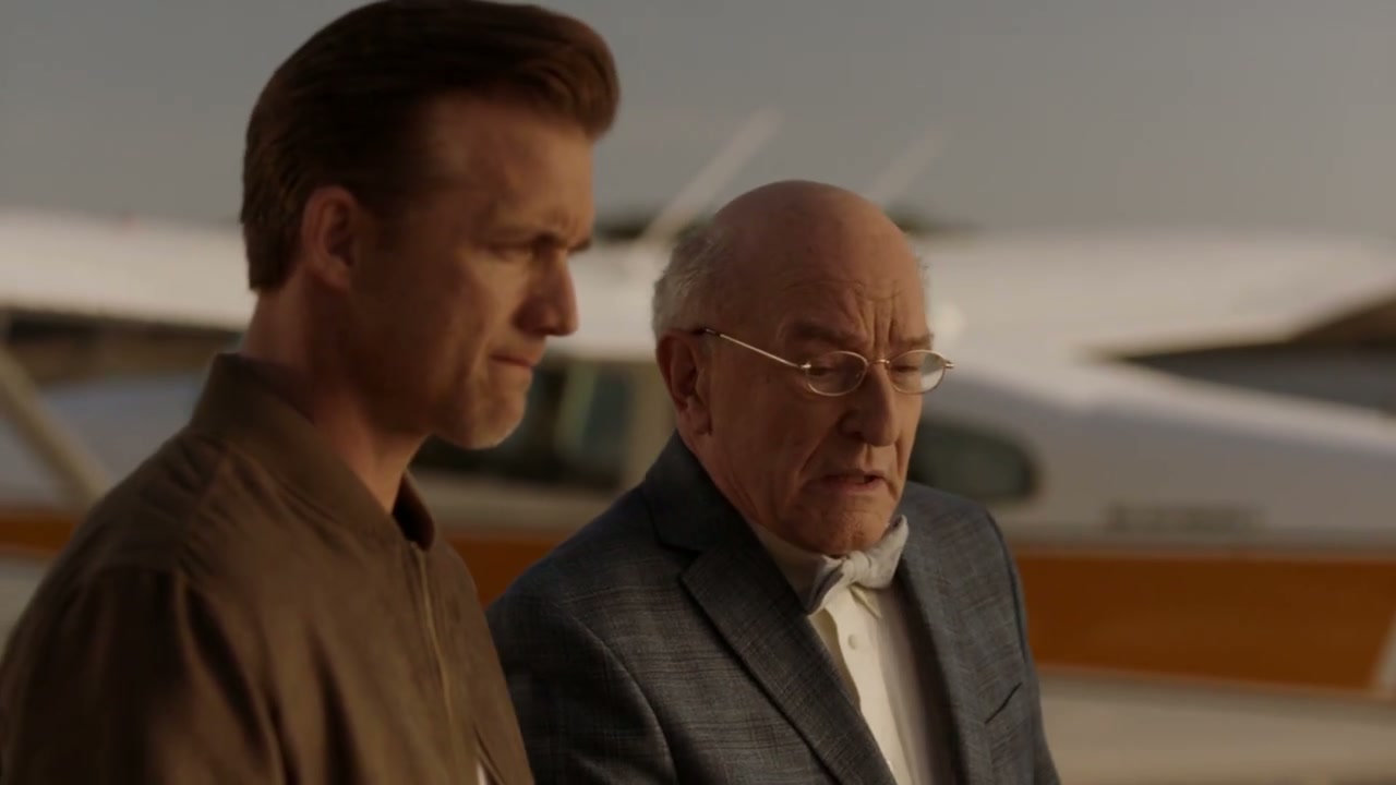 Love Takes Flight Screenshot