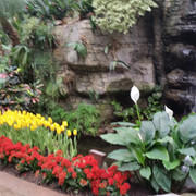 20160305 111307(1)
