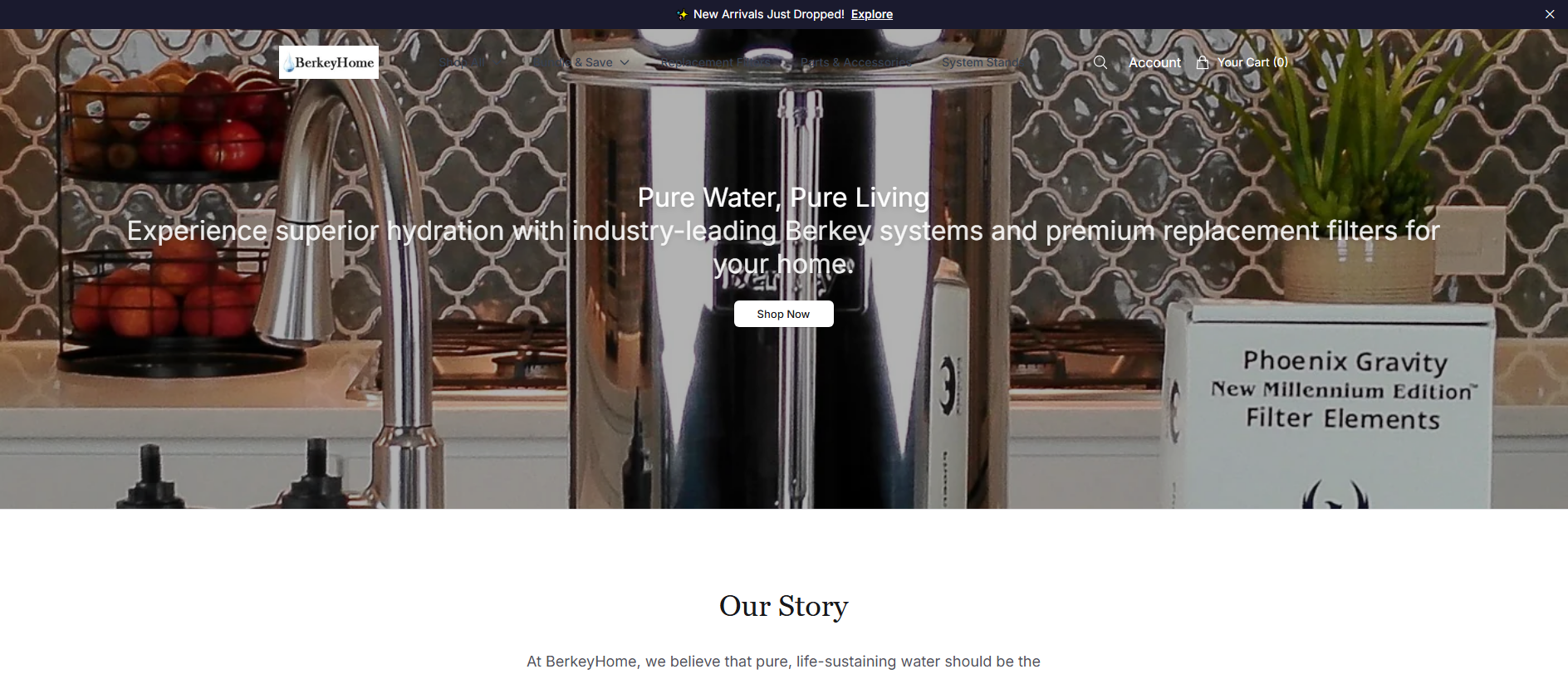 Stored capture of berkeyhomedirect.shop