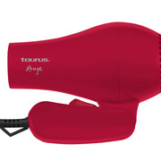 DY-100-ROUGE-02