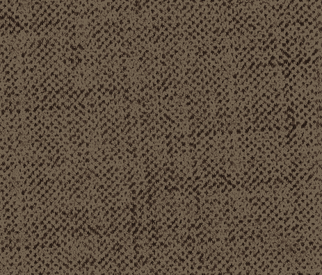 SA 1193 B Bottom.jpg