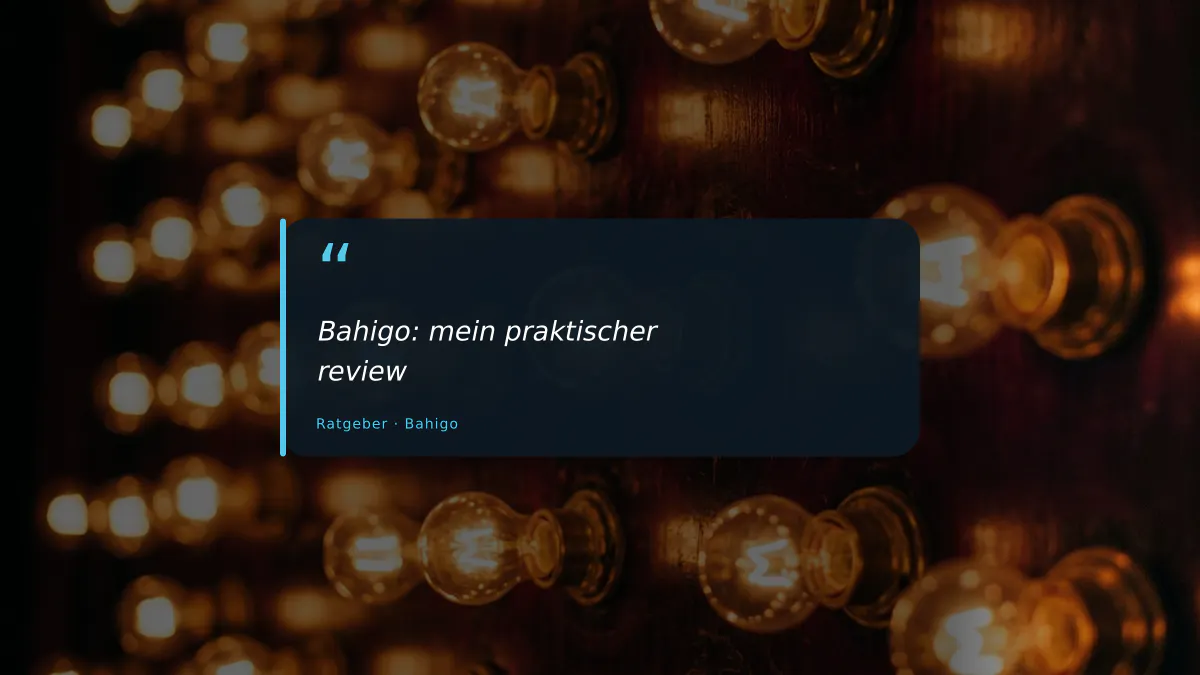 Bahigo: mein praktischer review