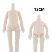 bodies